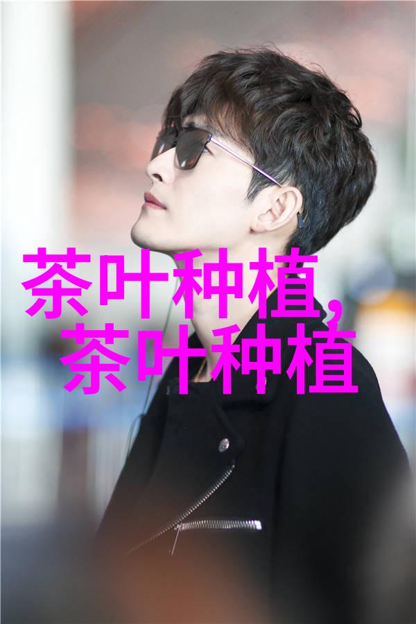 如何看待普洱茶的拼配和掺假