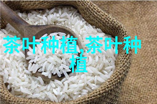 珍稀白茶龙陵县松山龙魁茶业有限公司