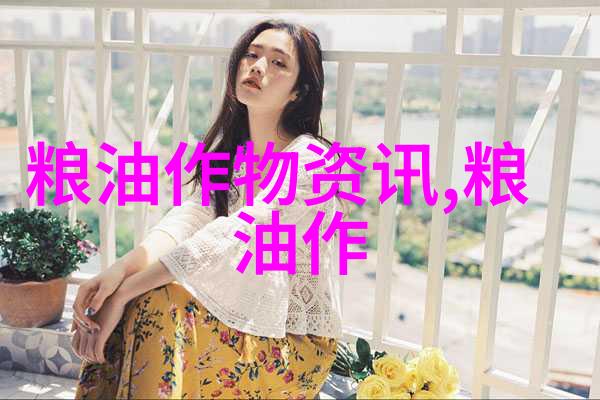 黑豆 米醋 天然染发黑老大