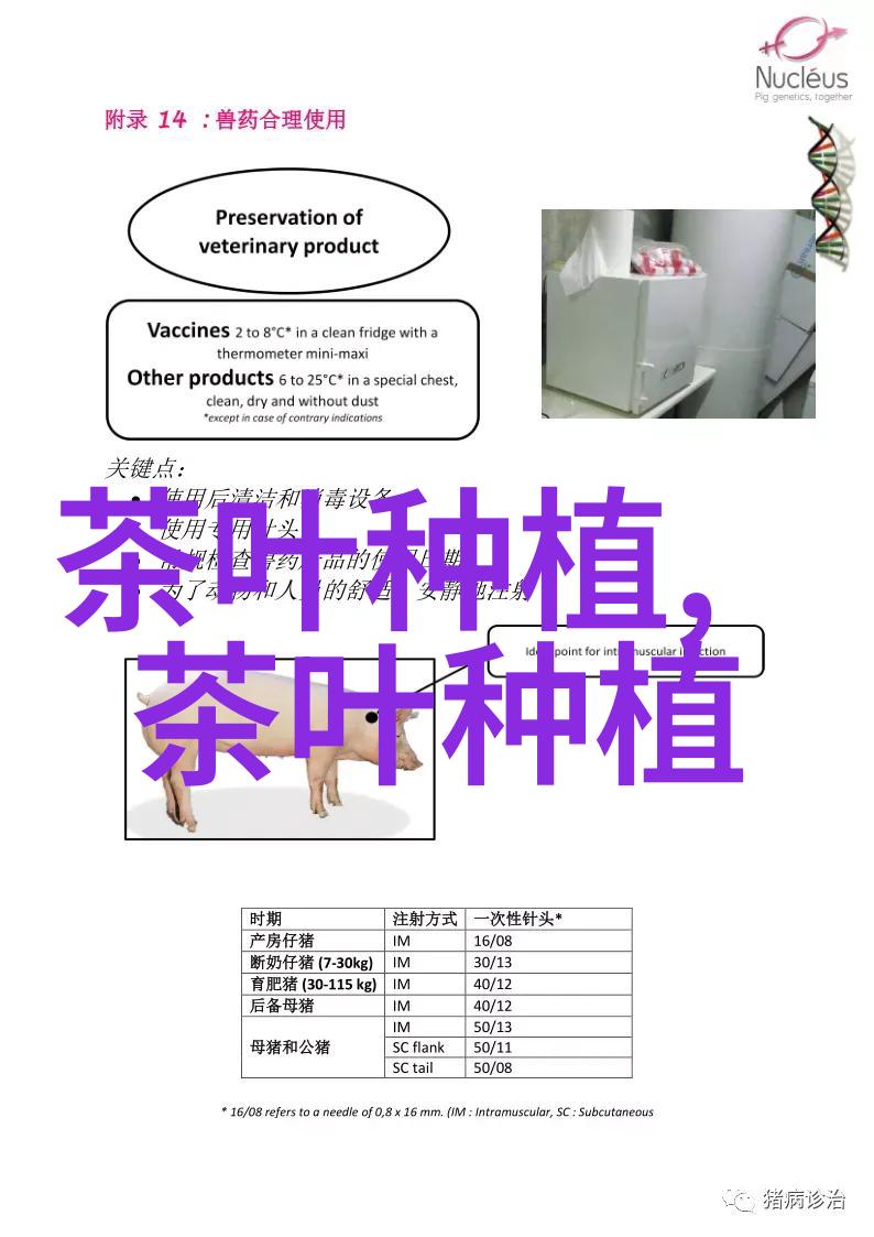 云南红茶种植引入卫星定位技术