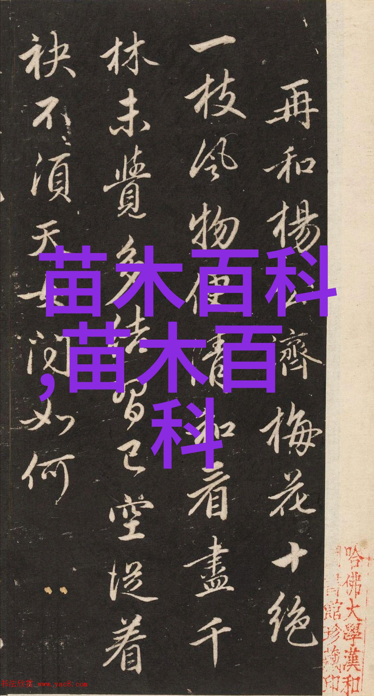 范和村释迦果首次规模上市