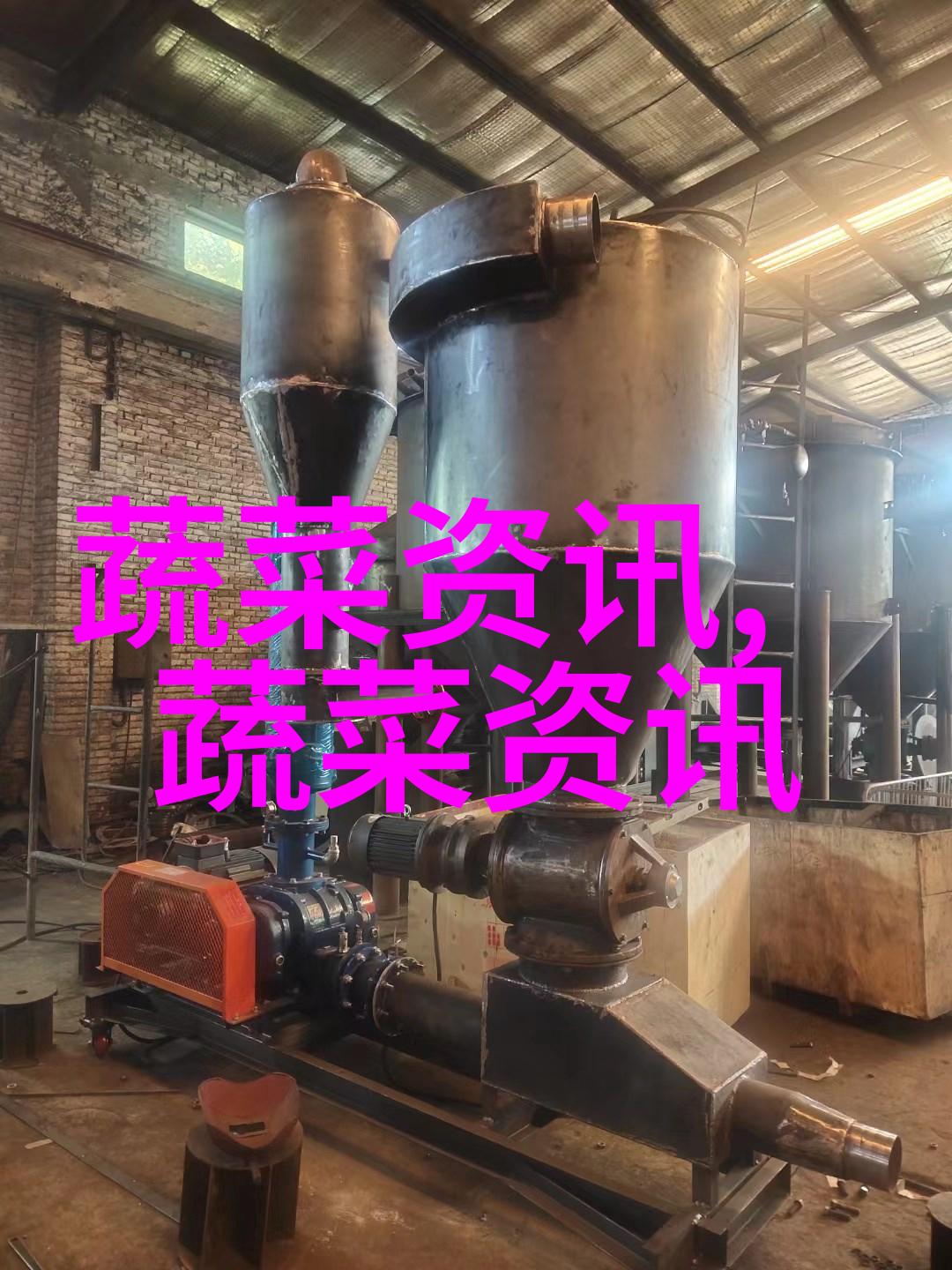 芦笋冬前管理