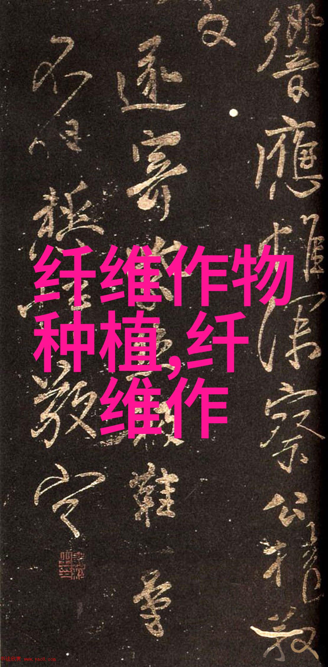 棉花施蕾肥 丰收有保证