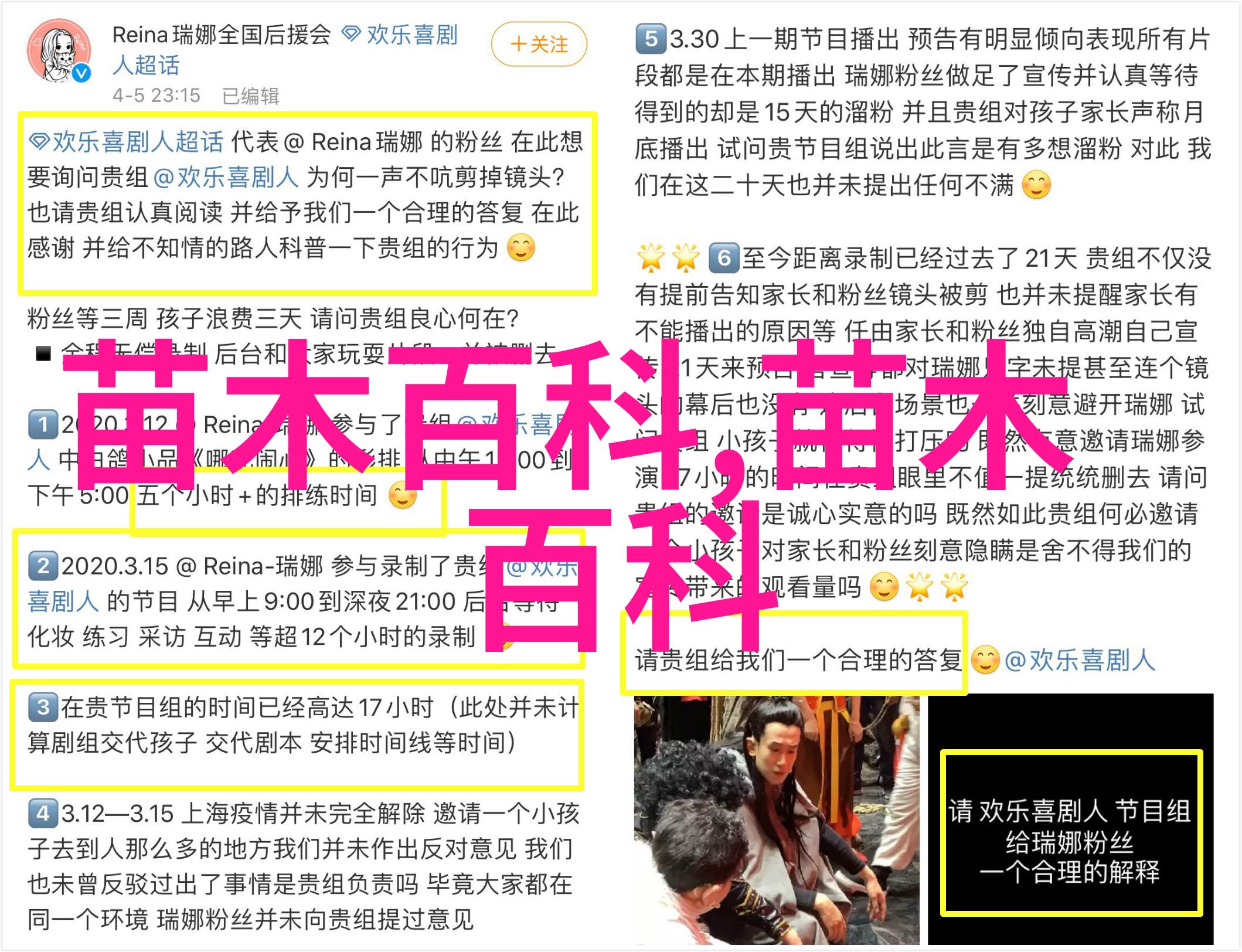 花卉种植揭示成本与利润的