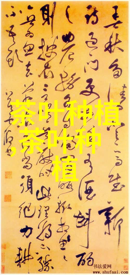 普洱茶包装小小议