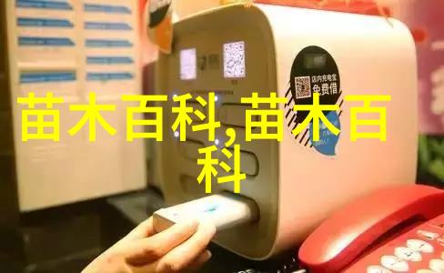 郁金香的地栽种植指南从播种到花期管理