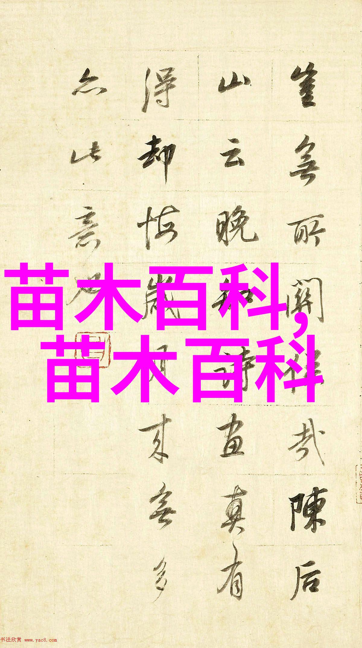向日葵几月份开花最旺