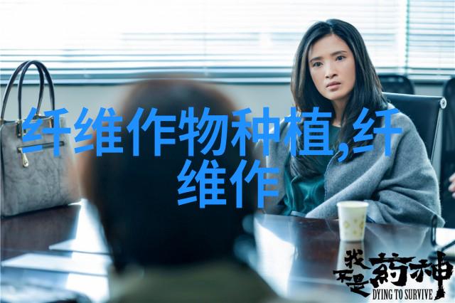 地膜棉花长势强 倒伏早衰要早防