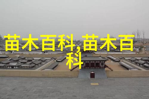 多肉植物白粉病的防治与养护从症状识别到全面解决方案