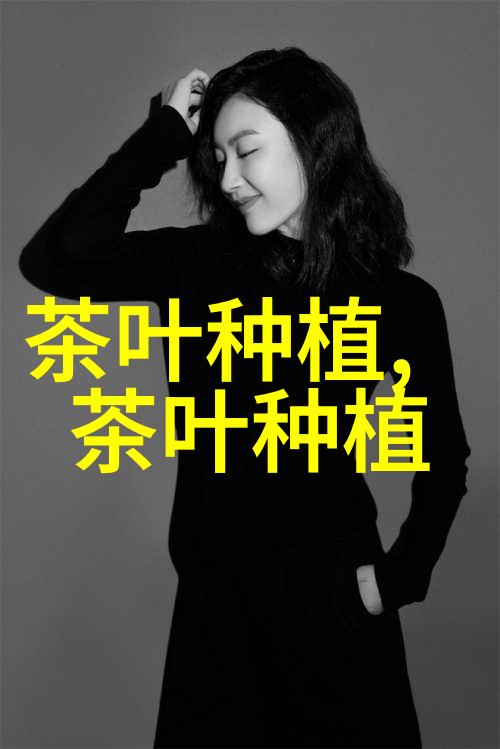 开展生态茶园建设 全力提升茶叶品质