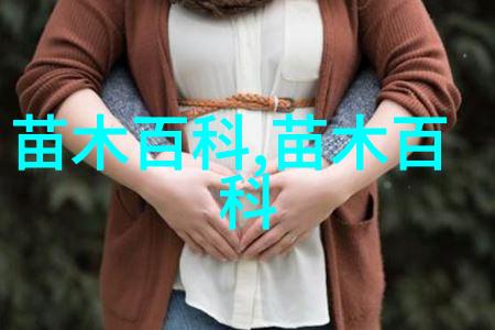 南五味子