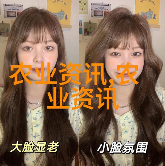 专家共议粮油作物单产提升关键技术与装备
