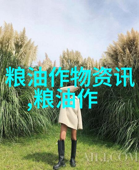 黑龙江玉米深加工企业补贴标准正式出台