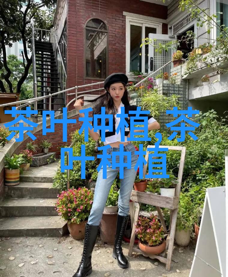 茶叶加工增收