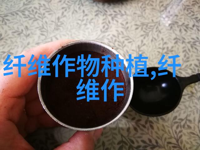 加强棉花肥水管理 提高成桃比例