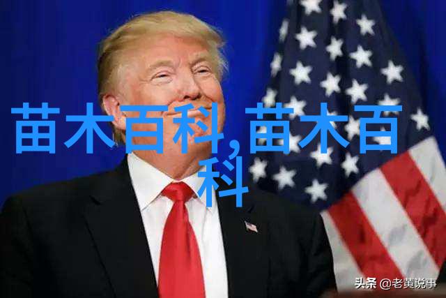 探索花卉苗木行业的秘密从种植到市场的全景揭秘