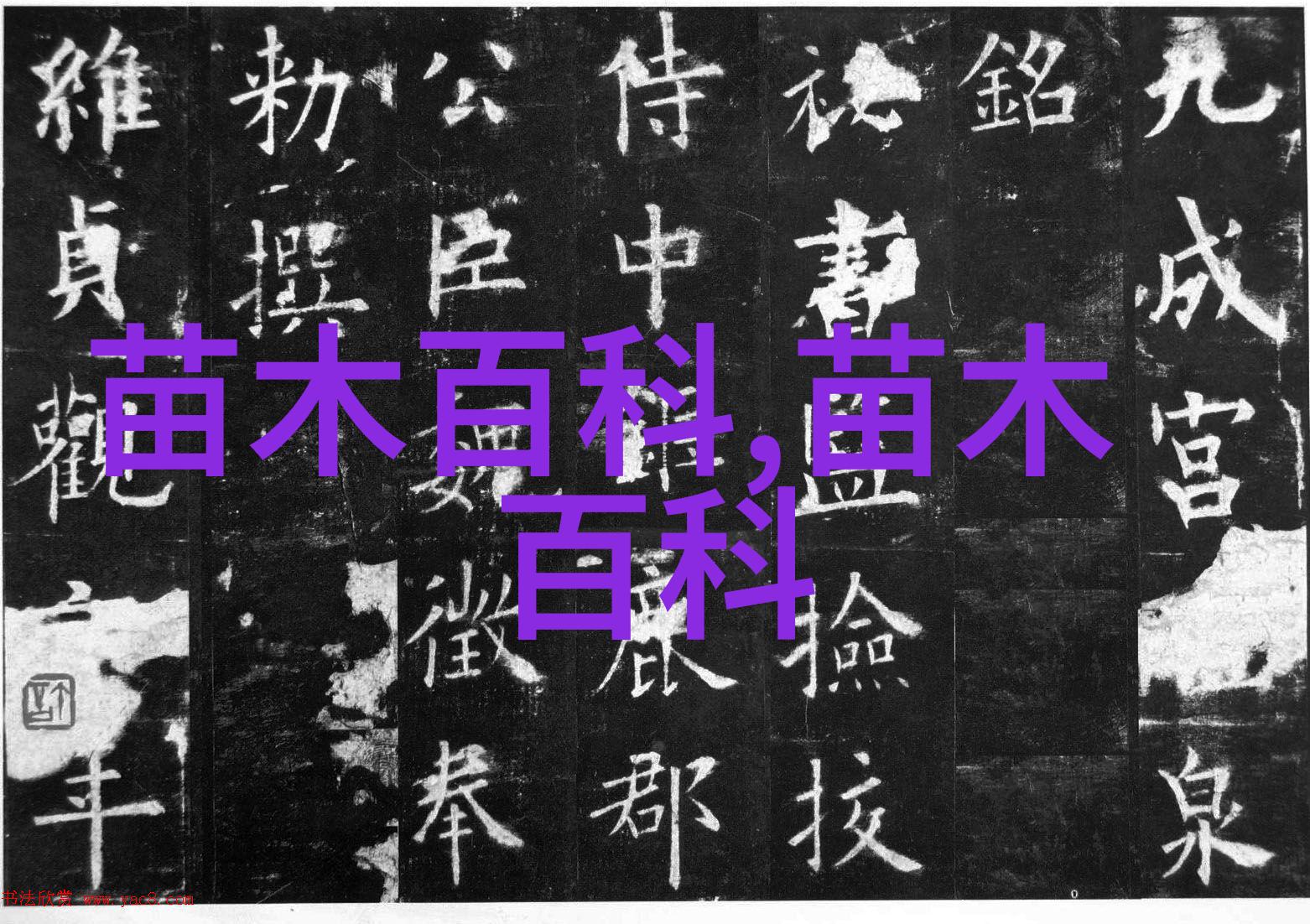 如何撰写苗木花卉市场创业方案一步步指导
