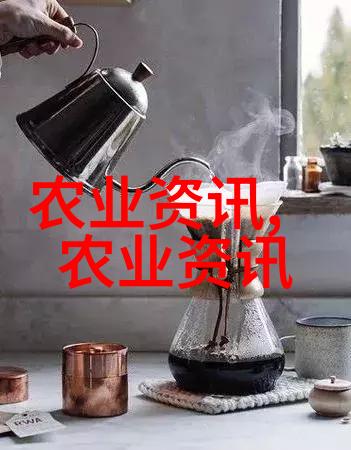 水稻种子属于哪种类型