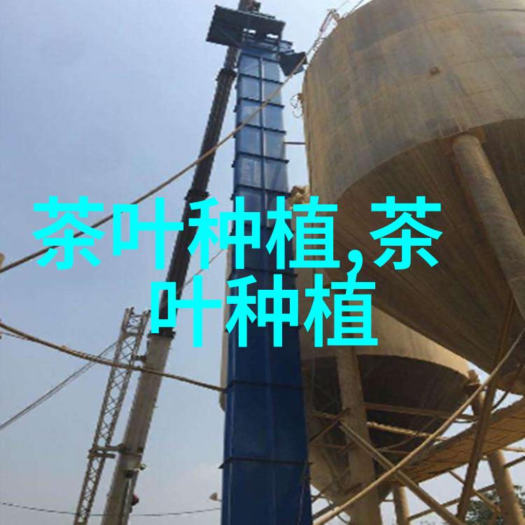大蒜栽培技术