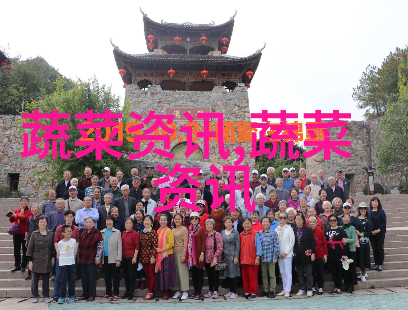 芦笋高产栽培与管理