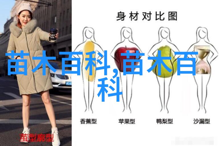 探索青州黄楼花卉批发市场花卉采购的理想之地