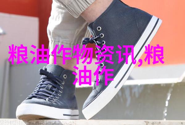 玉米的功效与作用